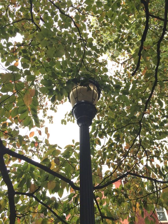 Louisvillestreetlamp